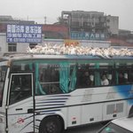 [엽기베스트] 중국의 오리 <b>운송</b> 방법