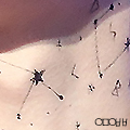 [EXO] 애들아 왕언니 <b>블로그</b> 꾸몄다. 