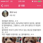 반려동물 옷을 만들어 보아요~