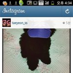 [EXO] <b>태연</b>이 나중에 팬들보는 인스타라고 말바꿨는데