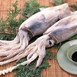 [수산시장] 안녕애들아난오징어라고해