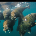 출퇴근 하시는 분들 잡지봅시다,,,