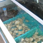 [맛집] 해물궁에서 장안구해물찜의 진미를 맛보다.