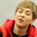 시우민 이 표정 좋아하는 웅녀???!!!!(부제:씹덕의 <b>절정</b>ㅋㅋ)