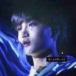 [카이] ๑•ิܫ•ั๑  