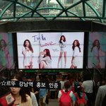 강남역 시크릿 <b>홍보</b>게시판