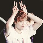 [EXO] 야드라 나 <b>닉</b><b>넴</b>추천좀