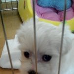 사랑스런 우리머루 첫소개