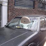 불법으로 주차한 <b>차들</b>의 최후