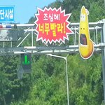 [오늘의썰] 영동고속도로의 <b>라바</b>