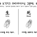 [EXO] <b>매미</b> 대처법