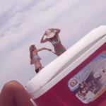 [대박사건] <b>메기</b>에 박힌 비키니녀