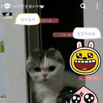 [쵸파] 쵸파팬이 쓰는 말랑말랑 쵸파이야기