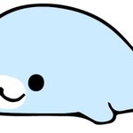 [조언부탁] 저 이렇게 살건데 외모가 <b>중요</b>할까요???