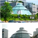 [엽기베스트] 서울에 새로 생긴 스타벅스 <b>매장</b>