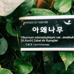 [EXO] 우연히 발견한 죵<b>대나무</b>