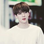 [EXO] 헐