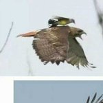 아침에 <b>매형</b>이 태워다 줌....