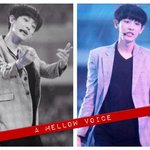 [EXO] 이거 감당할 수 있는 사람만 들어와
