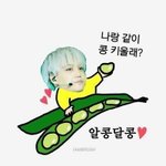 [카이] *마지막 기브데이 콩털자!*