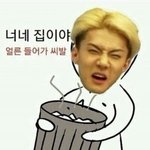 [EXO] 솔직히 갠투표 별생각없었거든??