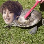 [EXO] 애들아 찬열이 거북이<b>분양</b>했대