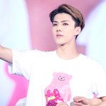 [EXO] 세훈이ㅠㅠㅠㅠ <b>어부바</b>ㅠㅠㅠㅠ