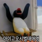 [EXO] 너네는 왜여친들이 왜관종짓하는지모름?