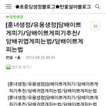 @훈녀생정@담배이쁘게<b>피기</b>!