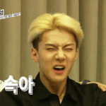 [EXO] 누가 세훈이인스타에 판주소뿌리고<b>다님</b>