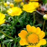 <b>창동</b> 대규모 창업도시로 신천지가 되네요.