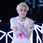 [EXO] 슴콘 엑소엘대란