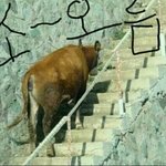 [EXO] 네이버웹툰 왓이프 중에 <b>구조자</b>o난감인가?