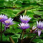 신천지 입교, <b>말씀</b>따라 왔어요.