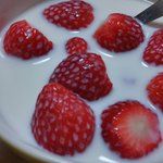 [EXO] 이렇게먹는거마싯<b>지안</b>냐