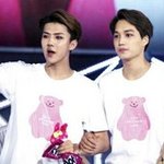 [EXO] 근데 스엠 곰돌이 뭐야?ㅋㅋㅋㅋㅋㅋㅋㅋㅋㅋㅋㅋㅋㅋㅋ