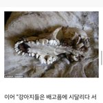 [EXO] 세훈이<b>인스타</b> <b>글</b>달림