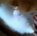 [동성] - 동성 - 이쪽이야기 +3