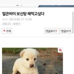 [EXO] <b>보신탕</b>먹고싶단글에 왜반대누르고욕함?