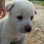 [EXO] 오늘따라 <b>얼큰</b>한 보신탕