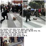 [exo] 약혐) 이거 <b>중국</b>사람이 <b>개</b> 죽이는거 봤냐