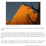 [추억파리여] <b>한인</b> 유학생 커플..결국은