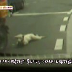 [공토다] 공개<b>수배</b>중인 악마의 오토바이