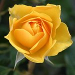 신천지 센터<b>위치</b>, 성경에 답있네~