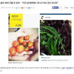 [exo] 설리 <b>최자</b> 주말농장....