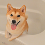 [EXO] 너희 잠깐 일루와봐ㅋㅋ