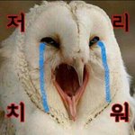 [EXO] 우리<b>지역</b>만 비 심하게 옴?