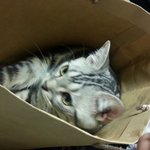 (너<b>붕이</b>네)총각하나 자매둘의 이쁜사진 모음