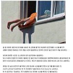 [추억파리여] 누드로 교통 마비시켜버린 <b>미녀</b>