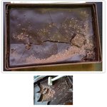 [엽기베스트] 열도의 <b>신박</b>한 초콜릿